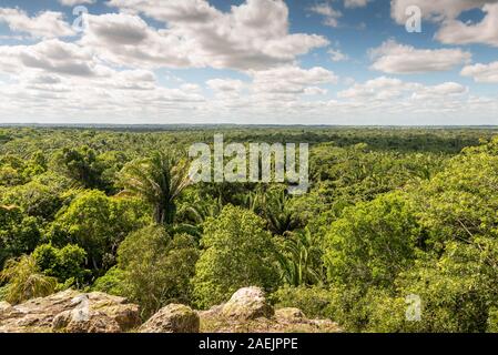 Orange Walk, Belize - 16 novembre, 2019. Vue du ciel et de la jungle à partir de la partie supérieure du haut temple construit par le peuple Maya à Lamanai. Banque D'Images