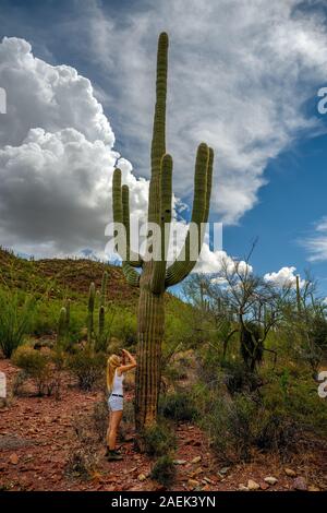 Les amoureux de nature photographier le saguaro cactus (Carnegiea gigantea) avec son téléphone portable appareil photo de Saguaro National Park, Arizona, USA Banque D'Images