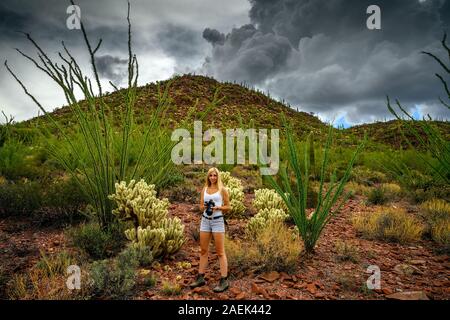 Les amoureux de nature photographier le saguaro cactus (Carnegiea gigantea) avec son appareil photo professionnel de Saguaro National Park, Arizona, USA Banque D'Images