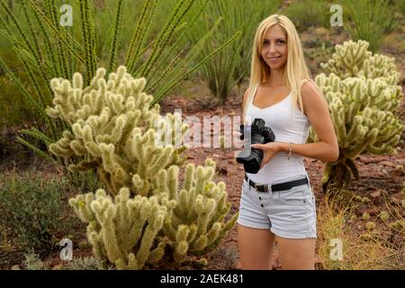 Les amoureux de nature photographier le saguaro cactus (Carnegiea gigantea) avec son appareil photo professionnel de Saguaro National Park, Arizona, USA Banque D'Images