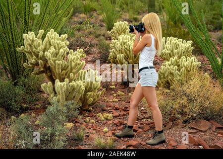 Les amoureux de nature photographier le saguaro cactus (Carnegiea gigantea) avec son appareil photo professionnel de Saguaro National Park, Arizona, USA Banque D'Images