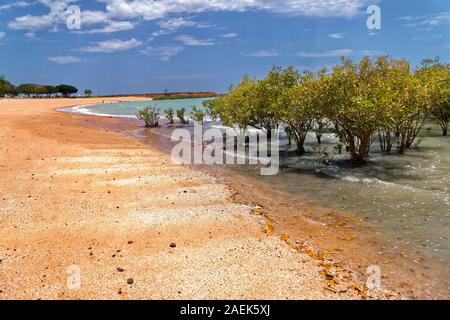 Plage de sable rouge avec arbres de mangrove, Broome, Australie occidentale, Kimberley Ouest Banque D'Images