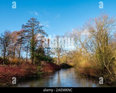 Paysage d'hiver, rivière Cherwell, parcs de l'Université d'Oxford, Oxford, Oxfordshire, England, UK, FR. Banque D'Images