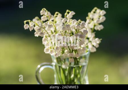 Bouquet de Lys de la vallée dans une tasse en verre. Spring floral background. Close up. Banque D'Images