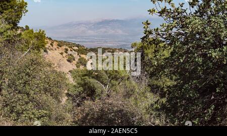 Un ciel voilé sur le mont Hermon dans les hauteurs du Golan de la réserve naturelle de Kédesch reboisées en haut galilii avec des collines et des arbres dans le foregrou Banque D'Images