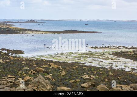 Bay en Bretagne avec du sable, des pierres et des algues, deux personnes dans l'eau et à la plage, vue de la côte de l'autre côté Banque D'Images