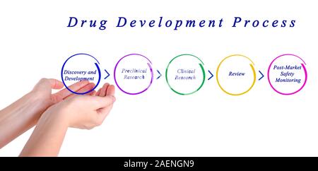 Diagramme du processus de développement de médicaments Banque D'Images