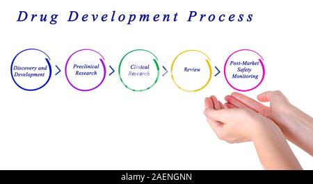 Diagramme du processus de développement de médicaments Banque D'Images