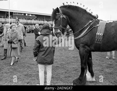 La reine Elizabeth II en gardant une distance de sécurité qu'elle admire l'un des chevaux shire à l'Est de l'Angleterre show ground près de Peterborough quand elle et le Prince Philip, duc d'Édimbourg, ont assisté à la Shire Horse Society centenary show. Banque D'Images