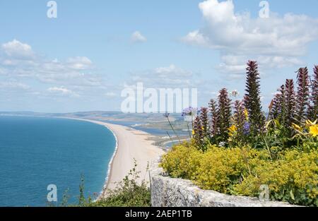 Vue de Portland Dorset Uk le long de la plage de Chesil en direction de Abbotsbury Banque D'Images