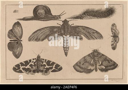 Wenceslaus Hollar, Six Insectes, une chenille, et un escargot, Six Insectes, une chenille, et un escargot Banque D'Images