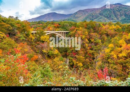 Belle couleur d'automne du feuillage à Naruko Gorge avec Ofukazawa pont dans la ville de Naruko, préfecture de Miyagi, au Japon. Banque D'Images