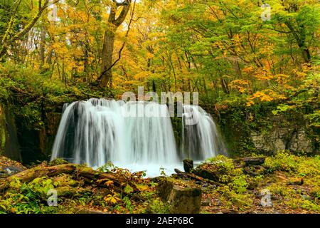 Chutes d'Otaki Choshi dans le feuillage coloré de forêt d'automne à Oirase Towada Gorge, dans le Parc National de Kamaishi, la Préfecture d'Aomori, au Japon. Banque D'Images