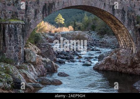 Lone Pine a vu à travers l'arche d'un pont de pierre sur la rivière Fango à Manso en Corse comme elle en cascade sur des rochers Banque D'Images