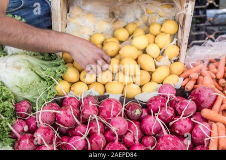 Un homme cueillette à la main le radis et citrons at grocery store Banque D'Images