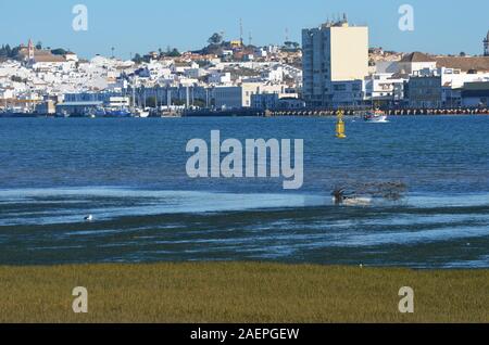 Voir d'Ayamonte (province de Huelva, au sud de l'Espagne) à travers l'estuaire du Guadiana Banque D'Images