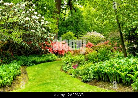 Un chemin qui mène à travers les azalées et rhododendrons, dans le Savill Garden à Egham, Surrey, UK Banque D'Images