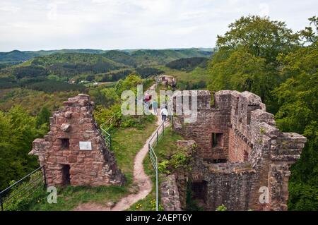 Ruines du château du Falkenstein, 13e siècle, le nord de Philippsbourg, Parc Naturel Régional des Vosges, de la Moselle (57), région Grand Est, en France. Banque D'Images