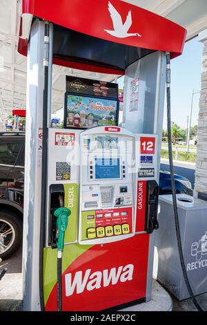 Orlando Florida,Lake Buena Vista,Wawa,station essence essence,pompe,diesel,indice d'octane,affichage numérique,FL190920155 Banque D'Images