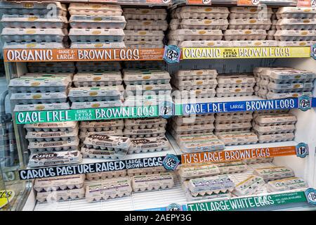 Miami Beach Florida,Trader Joe's,épicerie supermarché nourriture, shopping, intérieur, oeufs, cartons d'oeufs, biologique, sans cage, brun, pâturage élevé, dissiper Banque D'Images