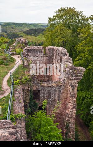 Ruines du château du Falkenstein, 13e siècle, le nord de Philippsbourg, Parc Naturel Régional des Vosges, de la Moselle (57), région Grand Est, France Banque D'Images