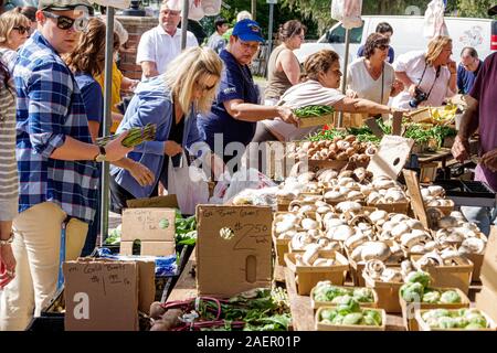 Orlando Winter Park Florida, centre-ville, quartier historique, Farmers' Market, chaque semaine samedi extérieur, fournisseur, stand de produits, légumes, homme, femme, atteindre, magasin Banque D'Images