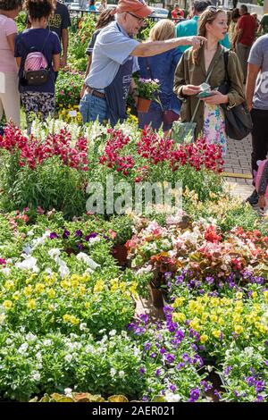 Orlando Winter Park Florida, centre-ville, quartier historique, marché agricole, samedi extérieur hebdomadaire, vendeur vendeurs vendeurs vendre, stands stand stands stand d Banque D'Images