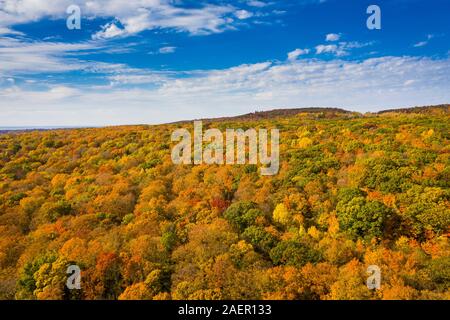 Vue aérienne de belles couleurs d'automne forêt Banque D'Images