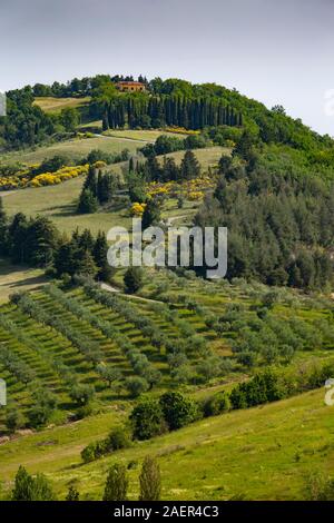 Montone est un petit village perché en Ombrie, Italie, entouré de collines et de fermes. Banque D'Images