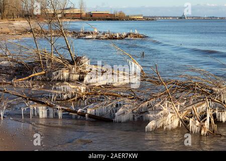 L'hiver sur les rives du lac Michigan. La glace recouvre les branches et les formes de glaçons Banque D'Images