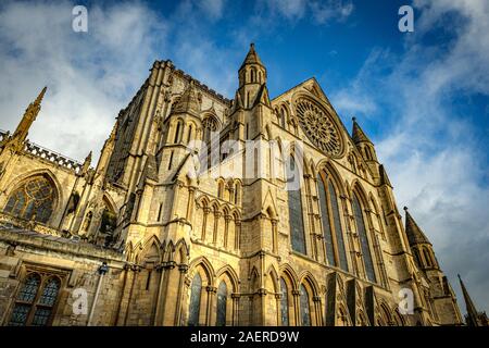 York Minster, York Rose, UK Banque D'Images