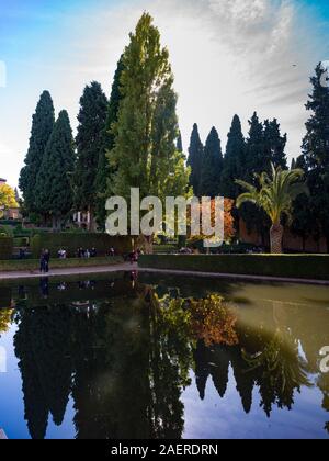 Vu près de tourisme par l'étang au Palais Nasrides, Alhambra, Granada, Espagne Banque D'Images