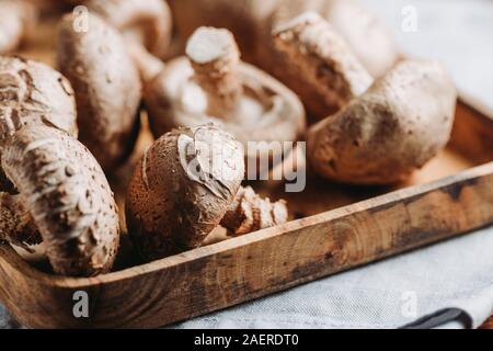 Les champignons shiitake dans un bol en bois sur une table. La photographie alimentaire Macro. Banque D'Images