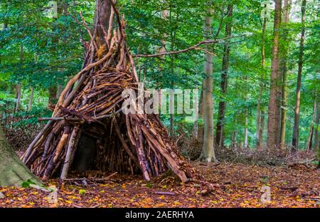 Tree hut fait de branches dans le liesbos forêt de Breda, Pays-Bas Banque D'Images