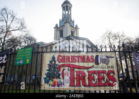 Londres, Royaume-Uni. 30 novembre, 2019. Un signe pour les arbres de Noël publicité vente en dehors de l'église St Mark's à Kennington. Credit : Mark Kerrison/Alamy Vivre sw Banque D'Images