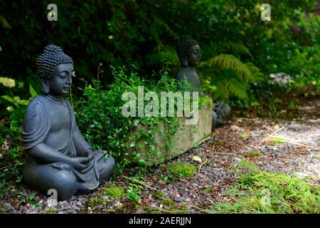 Statues de Bouddha,contempler, calme, de l'Asie Pacifique,jardin,Kilravock woodland gardens, West Cork Garden Trail,Durrus,Comté de Cork,Floral RM Banque D'Images