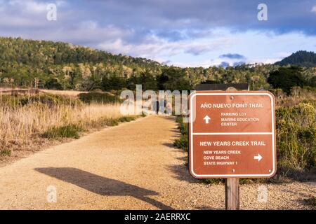 Inscrivez-vous publié dans l'un des sentiers à Ano Nuevo State Park, Californie, côte de l'Océan Pacifique Banque D'Images