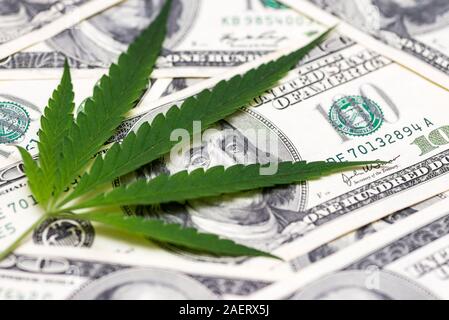 Medical Marijuana cannabis feuille sur one hundred dollar bills. Une feuille de marijuana pour l'argent, les dollars et le cannabis, un cadre juridique et d'affaires sur le marché noir. Banque D'Images