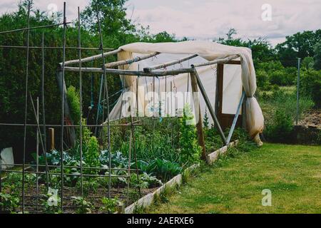 Verger avec vergers écologiques dans une maison de campagne à côté d'une petite serre Banque D'Images