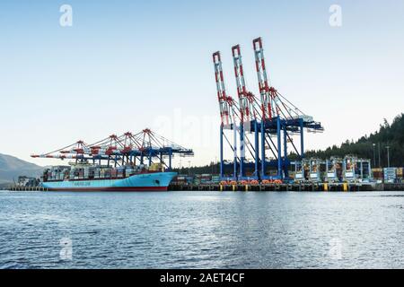 Terminal à conteneurs avec Maersk Kokura et portiques, Prince Rupert (Colombie-Britannique) Banque D'Images