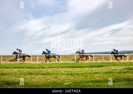 Middleham, Angleterre - un groupe de cavaliers de se positionner sur un milieu rural pratique race track, Yorkshire, UK Banque D'Images