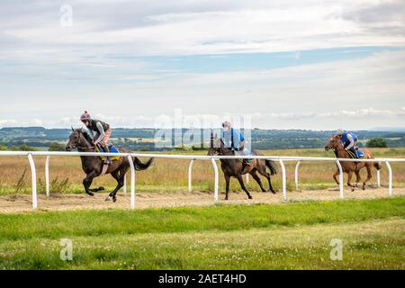 Middleham, Angleterre - un groupe de cavaliers de se positionner sur un milieu rural pratique race track, Yorkshire, UK Banque D'Images