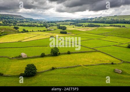 Les structures en pierre dot les champs des Yorkshire Dales, Yorkshire, Royaume-Uni. Banque D'Images