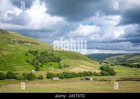 Les structures en pierre dot les champs des Yorkshire Dales, Yorkshire, Royaume-Uni. Banque D'Images