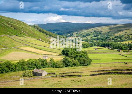 Les structures en pierre dot les champs des Yorkshire Dales, Yorkshire, Royaume-Uni. Banque D'Images