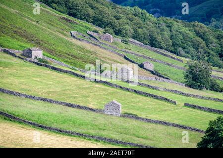 Les structures en pierre dot les champs des Yorkshire Dales, Yorkshire, Royaume-Uni. Banque D'Images