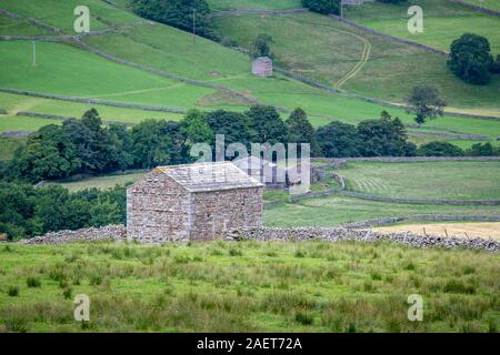 Les structures en pierre dot les champs des Yorkshire Dales, Yorkshire, Royaume-Uni. Banque D'Images