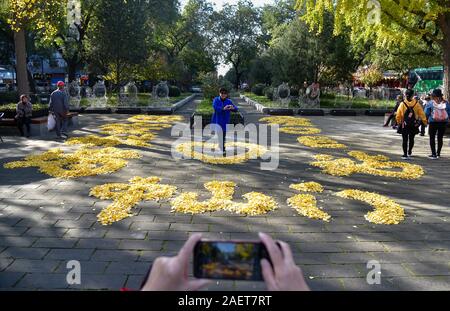 Les gens prennent des photos de la masse géante ginkgo-laissez-puzzles dire "Xi'an City Walls, l'amour Poster, Zhongshan Gate" à l'entrée de Zhongshan Gate s Banque D'Images