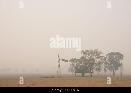 La pollution et la fumée sur une ferme de feux de brousse 120km (70 miles) away.Tamworth Australie. Banque D'Images