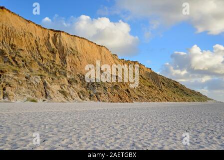 Red Cliff, impressionnant bord raide dans la lumière du soir, Kampen, Sylt, le frison du Nord, mer du Nord, l'île de Frise du Nord, Schleswig-Holstein, Allemagne Banque D'Images